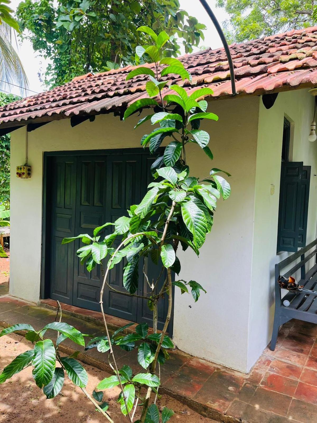 Agora Villa By Esperanza แทนกาลเล ภายนอก รูปภาพ